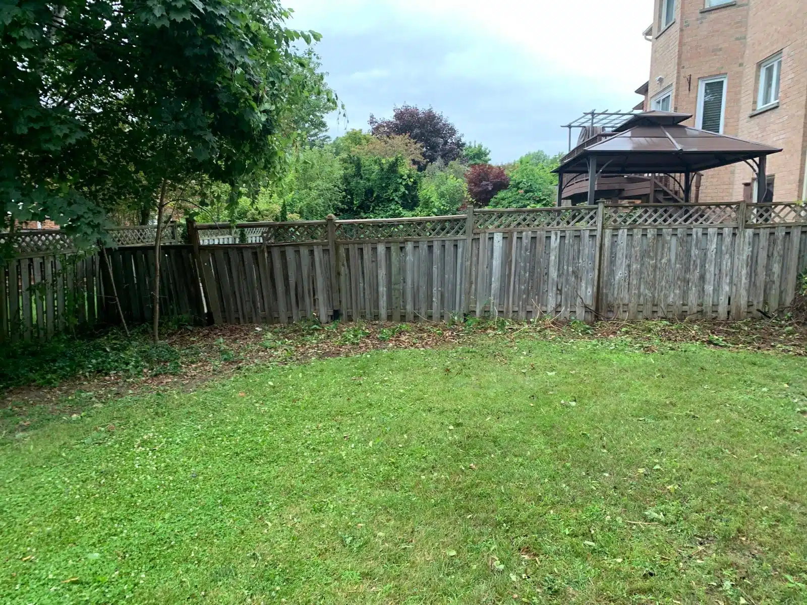 trash-garden-after.jpg trash-garden-after.jpg