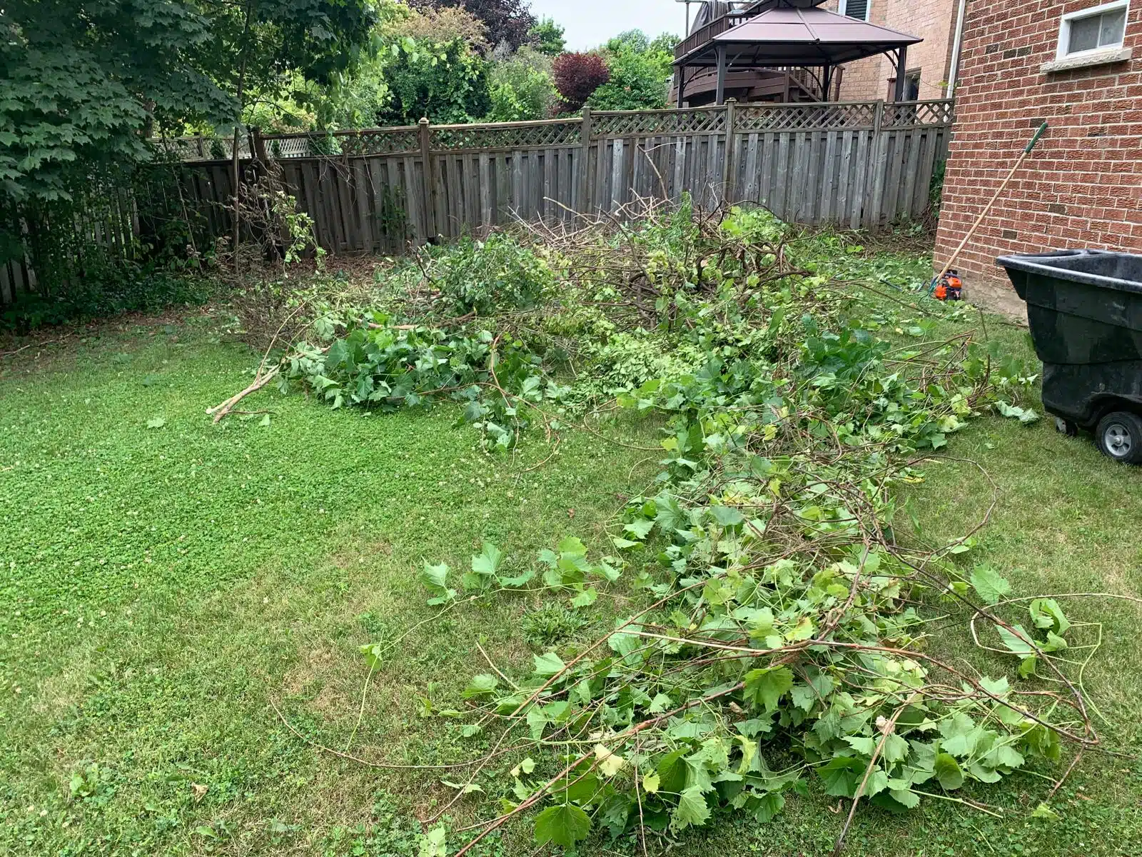 trash-garden-before.jpg trash-garden-before.jpg
